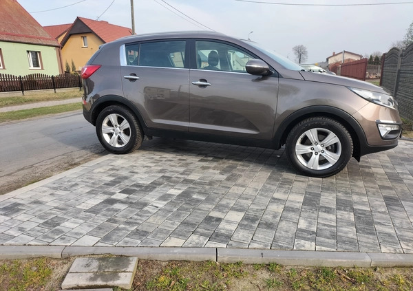 Kia Sportage cena 44900 przebieg: 223000, rok produkcji 2013 z Urzędów małe 232